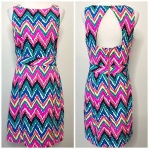 Lilly Pulitzer Hearts a Flutter Chevron Dress